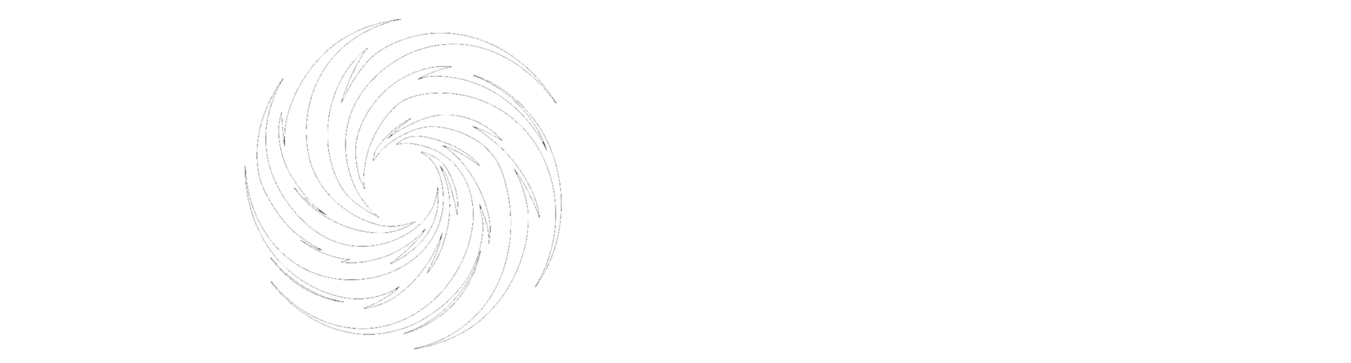 Vortex Network Logo